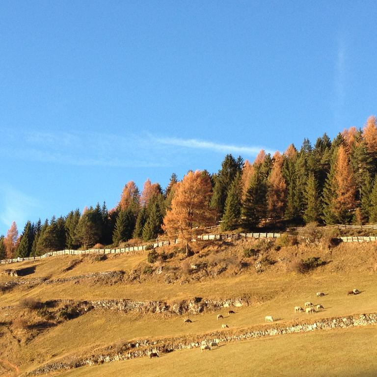 Agriturismo Maso Larciunei Selva di Val Gardena Eksteriør bilde